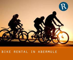 Bike Rental in Abermule