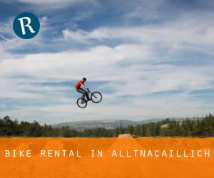 Bike Rental in Alltnacaillich
