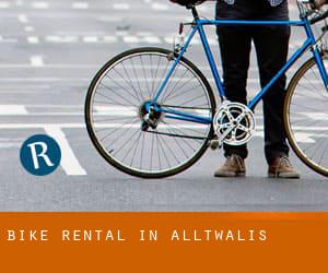 Bike Rental in Alltwalis