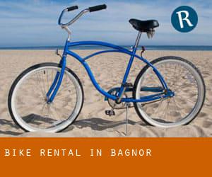Bike Rental in Bagnor