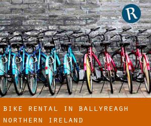 Bike Rental in Ballyreagh (Northern Ireland)