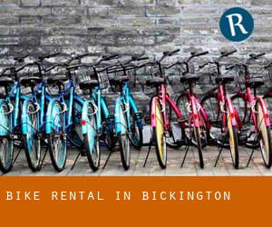 Bike Rental in Bickington