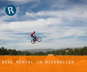 Bike Rental in Bicknoller