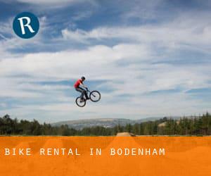 Bike Rental in Bodenham