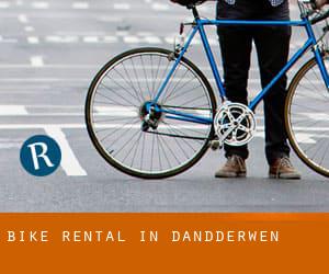 Bike Rental in Dandderwen