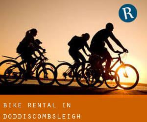 Bike Rental in Doddiscombsleigh