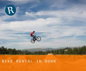 Bike Rental in Down