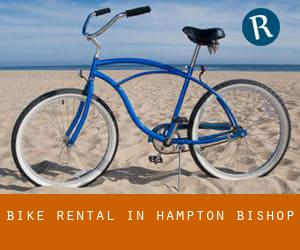 Bike Rental in Hampton Bishop