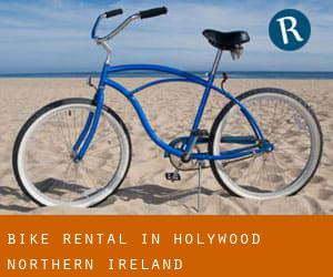Bike Rental in Holywood (Northern Ireland)