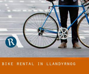 Bike Rental in Llandyrnog
