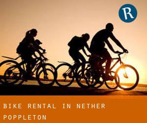 Bike Rental in Nether Poppleton